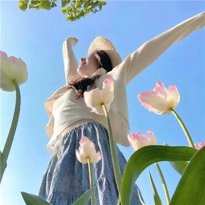 影视4